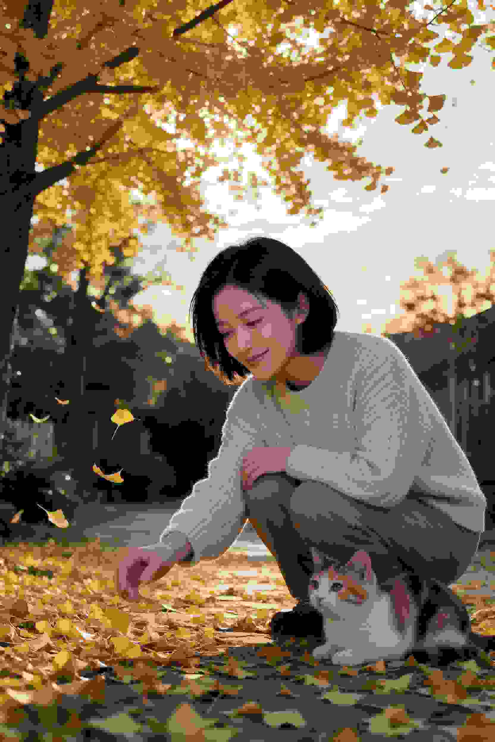 曼彻斯特往事